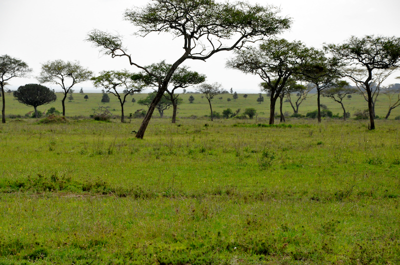 Melanie Heinrich Travel Images Africa